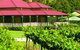 O'Reilly's Canungra Valley Vineyards - thumb 0