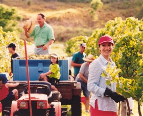 O'Reilly's Canungra Valley Vineyards - Winery Find 2