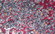 Fern Gully Winery - thumb 4
