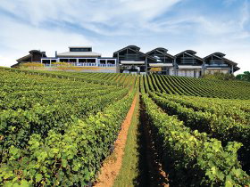Sirromet Wines - Winery Find 0