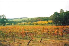 Byramgou Park - Winery Find 0