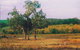 Byramgou Park - thumb 1