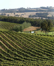 Brookhampton Estate - Winery Find 2