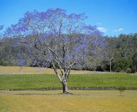Ellenborough NSW Winery Find