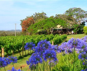 Little Fish Cafe - Winery Find 0