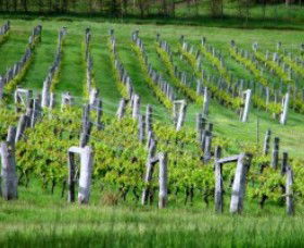 East Nannup WA Winery Find