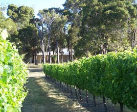 Woody Nook - Winery Find 3