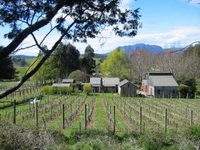 Book Devonport Accommodation Vacations Winery Find Winery Find