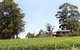 Barringwood Park Vineyard - thumb 1