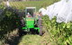 Holm Oak Vineyard - thumb 0