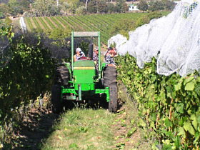 Holm Oak Vineyard - Winery Find 0