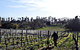 Holm Oak Vineyard - thumb 1