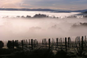 Holwell TAS Winery Find