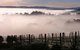 Grey Sands Vineyard - thumb 0