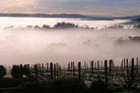 Grey Sands Vineyard - Winery Find 0