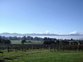 Stoney Rise Wine Company - Winery Find 0