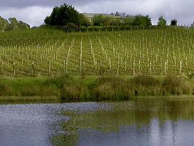 Brook Eden Vineyard - Winery Find 0