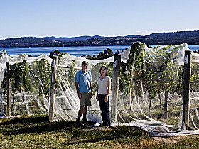 Mt Direction TAS Winery Find