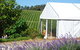 Leaning Church Vineyard - thumb 0