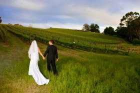 Leaning Church Vineyard - Winery Find 2