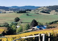 Book Bicheno Accommodation Vacations Winery Find Winery Find