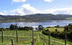 Derwent Estate Wines - thumb 0