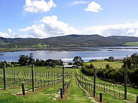 Derwent Estate Wines - Winery Find 0
