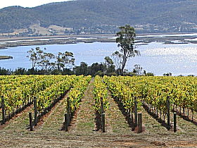 Derwent Estate Wines - Winery Find 1