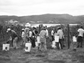 Stefano Lubiana Wines - Winery Find 2