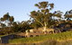 Domaine A / Stoney Vineyard - thumb 0
