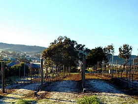 Pooley Wines (Belmont Vineyard) - Winery Find 0