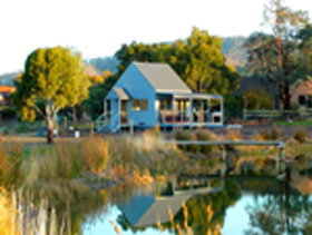 Puddleduck Vineyard - Winery Find 0