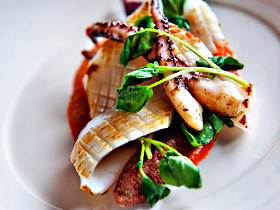 Frogmore Creek Wines - Winery Find 2