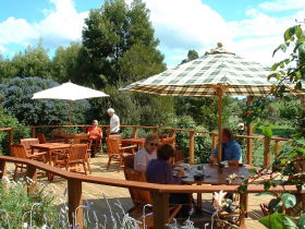 Sorell Fruit Farm - Winery Find 3