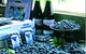 Tassie Blue Blueberries - thumb 0