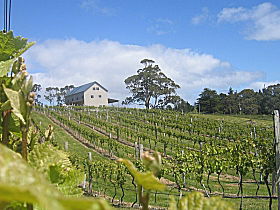 Upper Woodstock TAS Winery Find