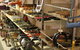 Myponga Market - thumb 1