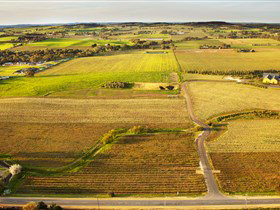 Murray Street Vineyards - Winery Find 3
