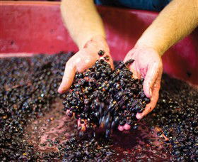 Wine Food Farmgate Trail - Winery Find 4