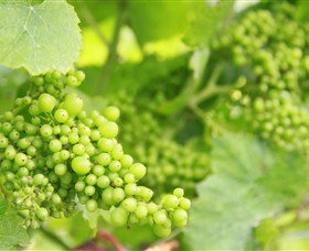 Waratah Bay VIC Winery Find