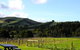 Waratah Hills Vineyard - thumb 4
