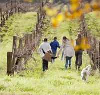 Gemtree Sustainable Cellar Door - Winery Find