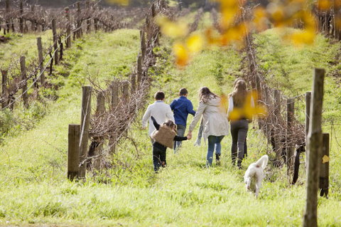 Gemtree Sustainable Cellar Door - Winery Find 0