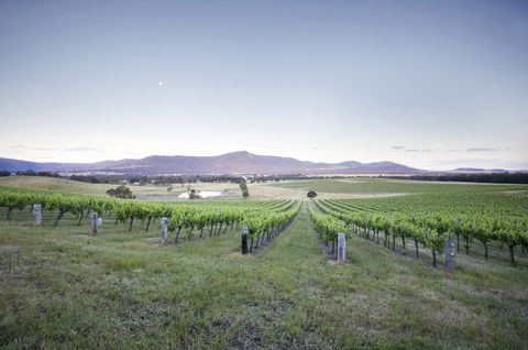Mount Langi Ghiran - Winery Find 0
