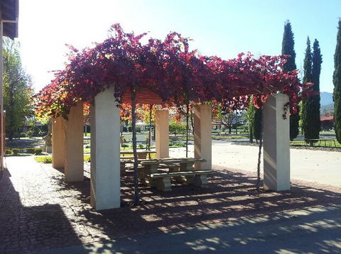 Michelini Wines - Winery Find 2