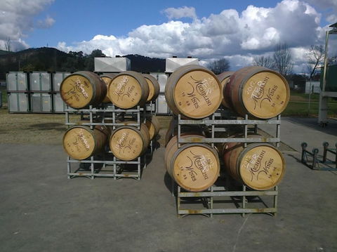 Michelini Wines - Winery Find 4