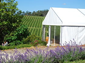 Turners Marsh TAS Winery Find