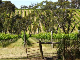 Magpie Springs - Winery Find 0