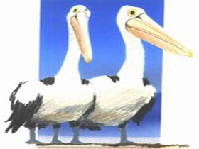 Destrees Bay SA Winery Find