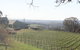 Cargo Road Winery - thumb 0